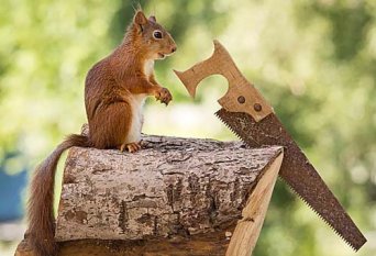 木工手工工具大全，手工木工工具圖片